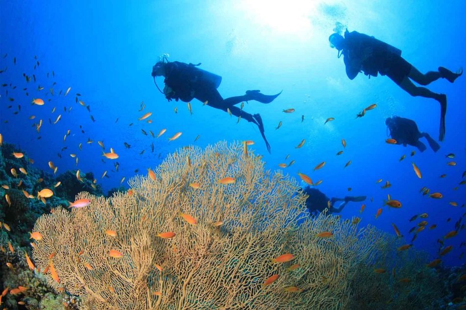 diving